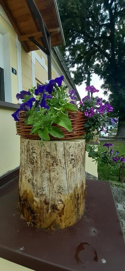 Penzion U Draci Skaly Hotel Svojse Exterior foto