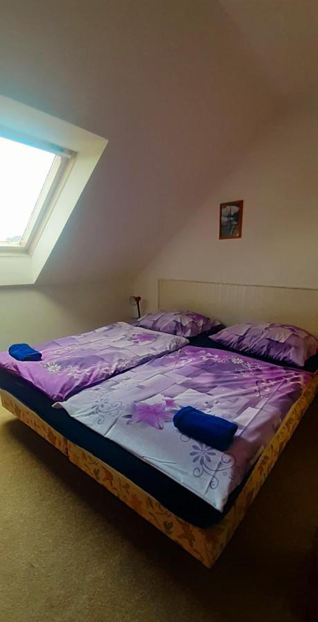 Penzion U Draci Skaly Hotel Svojse Exterior foto
